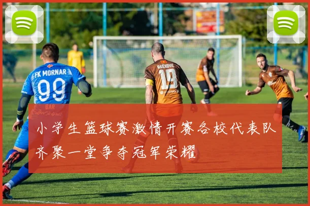 小学生篮球赛激情开赛各校代表队齐聚一堂争夺冠军荣耀