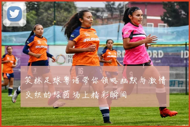 笑林足球粤语带你领略幽默与激情交织的绿茵场上精彩瞬间