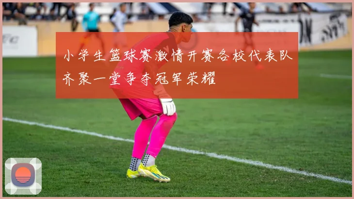 小学生篮球赛激情开赛各校代表队齐聚一堂争夺冠军荣耀