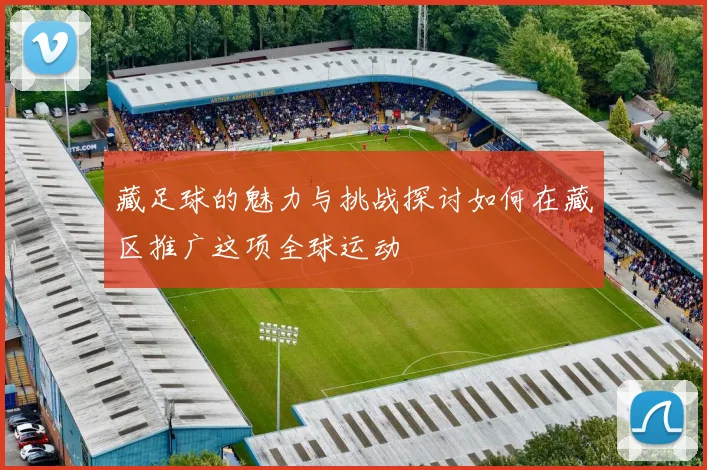 藏足球的魅力与挑战探讨如何在藏区推广这项全球运动