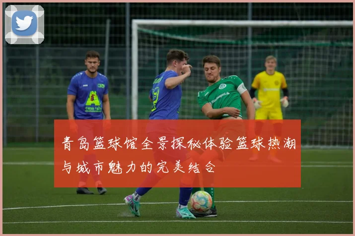 青岛篮球馆全景探秘体验篮球热潮与城市魅力的完美结合
